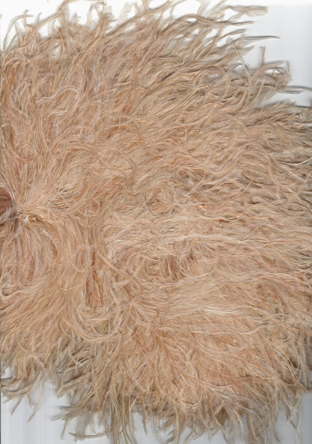 Mugler Spring-Summer 2026 - Ostrich boa/8 layers in collaboration with Maison Février - © Alexandra Saby